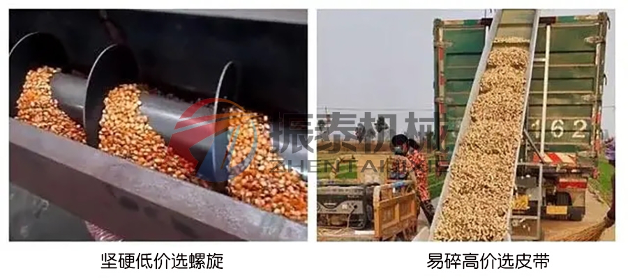 糧食螺旋輸送機(jī)和糧食皮帶輸送機(jī)使用上有什么區(qū)別？